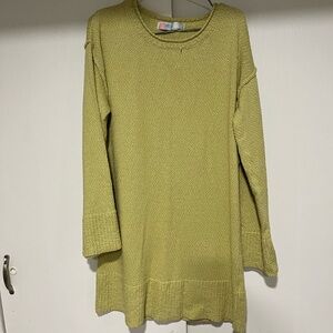 Green Casual Dolman Sleeve Sweater Dress